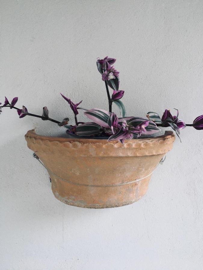 Wabi Sabi Apartment Katastarion ภายนอก รูปภาพ